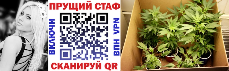 Где купить наркоту Новая Ладога Вейп ТГК kraken tor COCAIN A-PVP Бошки Шишки