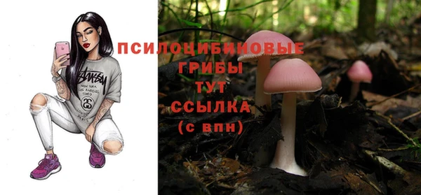 дживик Щигры