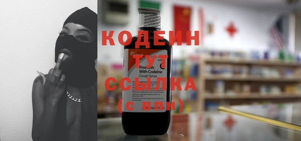 хмурый Щучье