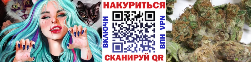 Бошки Шишки семена Новая Ладога